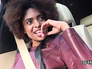 Erotic cutie blows in POV