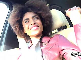 Erotic cutie blows in POV