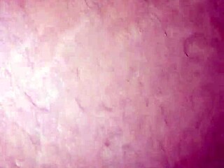 ebony amateur pussy eaten and stroked until shaking