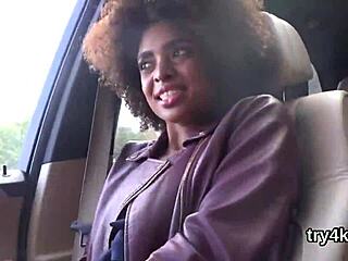 Erotic cutie blows in POV