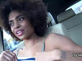 Erotic cutie blows in POV