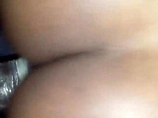 crazy homemade adventure