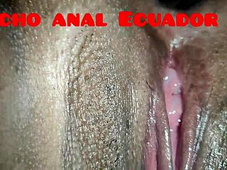 i lick my ecuadorian wife's big ass and vagina while she's on all fours