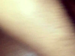 crazy homemade adventure