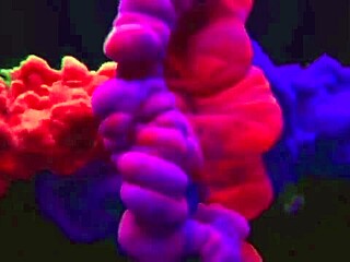 A intens�o era da pra ele no swing