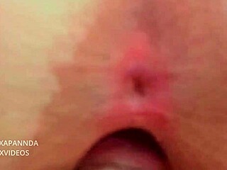 El Hombre Que Pinto Mi Casa Quiere Follarme Cuando Mi Marido Esta En El Trabajo