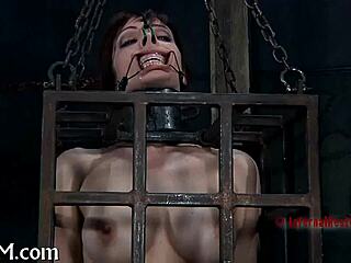 Harsh Punishment Delivered in Raw Action Scene