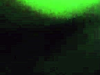 Delicious Amateur Pussy Explored in Detail