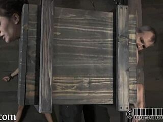 Extreme Sadomasochism