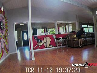 Will The Realtor Get Banged Hard At Bruno's Appraisal?