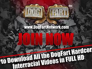 ana foxxx gets some white dick at the gloryhole 😏🍆