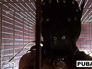 Sexy Dani Daniels Trapped In Dog Cage