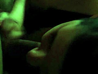 a quick swallow on a summer day