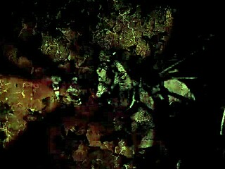 what's your secret to vintage hairy pussy fun?