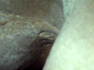 i love this interracial ebony milf. black mama amateurs turn me on.