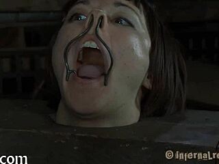 Check out free punishment videos