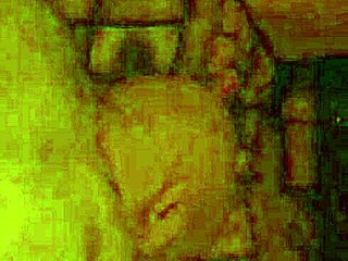 Intense Anal Session with Latina Shemale Partner