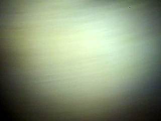 yella bone bbw gets wet pussy fucked hard