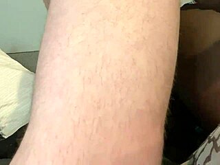 Ever tried breeding a sexy shemale in interracial action?