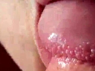 Outdoor amateur blowjob with public view