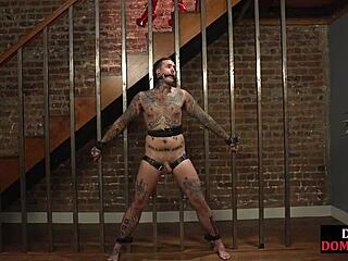 Strict blonde milf whips sub hard after strapon humiliation!