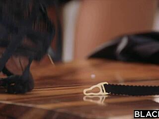 Gianna kan ikke modstå fans store sorte pik