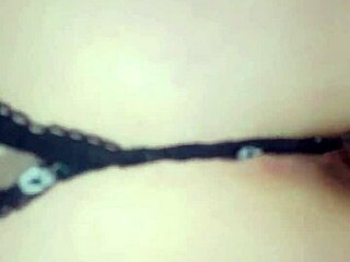 Pawg cums on bbc in sloppy doggystyle fuck