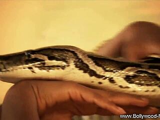 indian milf seduces with striptease in bollywood style