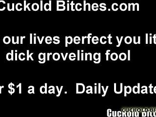 You are nothing but a worthless cuckold slave