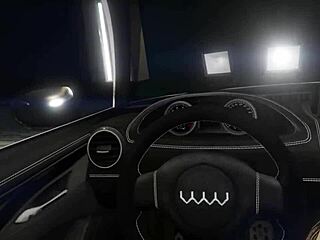 In Gta 5 First Person Hooker Sex In Car