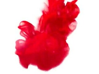 Retrospectiva Anal-Logica 2020 Retrospectiva Anal 2020 - Capoeira - Big Bambu - Higor Negrao - Rob Carvalho - Mr Rola Ator - Binho Ted - Hard Brazil Capoeira Ator