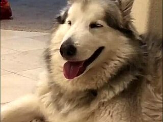 i love watching felicity feline's slutty moments on webcam