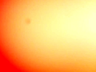 i love drinking that hot milk from amateurs in oral scenes