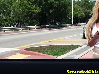 Blonde hitchhiker gets outdoor blowjob!