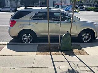 inked ava lee face fucked after rimming rome major