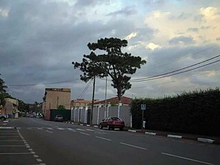 Suggestive Lesbian Encounter With Passionate Licking