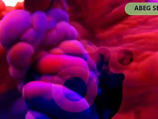 In african homemade video, ebony goddess bends over for doggystyle sex and cowgirl riding.