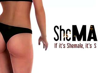 Exotic ladyboy in black lingerie posing!