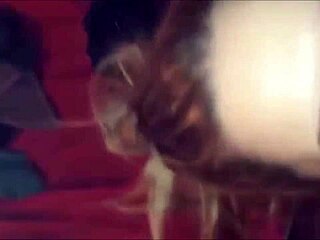 Blonde gets cum on her face in pov hd.