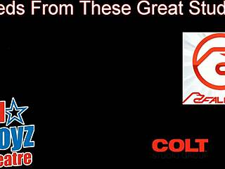 Garett alba and tom hawai