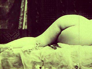 Why Miss Vintage Blowjobs from Dark Lantern's Secret Confessions?