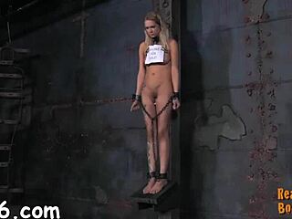 Sadomasochism Whipping and Bondage Videos