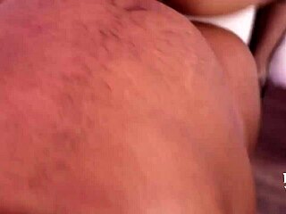 Gia Lovey Slobers On Big Black Cock Before Getting Fucked