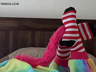 stripe socks critter