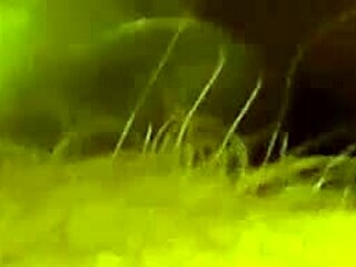 Husband dives into wife's pussy between spreading legs.