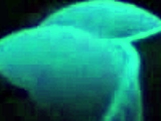 i love britney madison blacklight sex