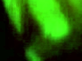 spying on the neighbor's hot bathroom fuck