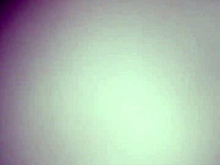 Public outdoor blowjobs in 2020, so sexy!