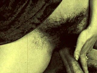 Vintage Taboo Family Erotic Confessions