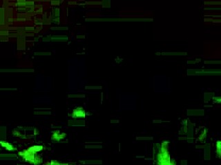 Bound bondage video from 2018